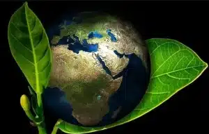 Boost Your Brand and Save the Planet: Why Eco-Friendly Promotional Merchandise is a Game Changer! The title for your blog post.