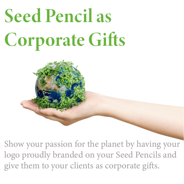 Seed Pencil Book Set