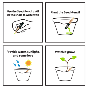 Seed Pencil Book Set