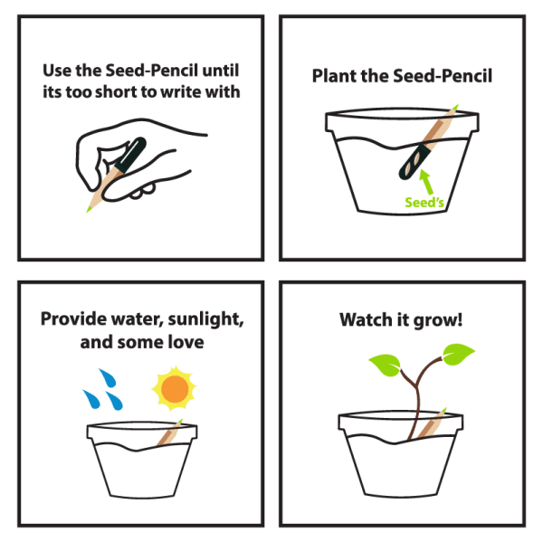 Seed Pencil Book Set