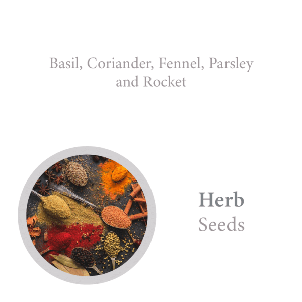 Seed Pencil Book Set