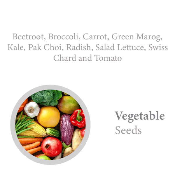 Seed Pencil Book Set
