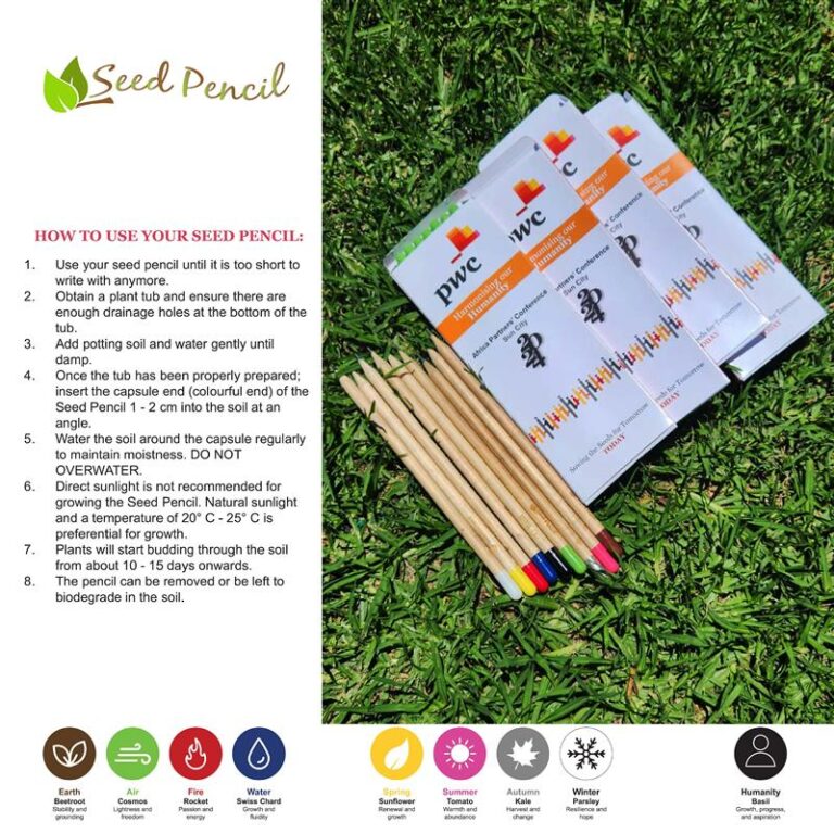 Seed Pencil Book Set