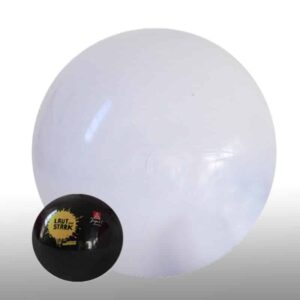 1.2m Beach Balls