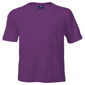 145g Crew Neck T-Shirt Kiddies