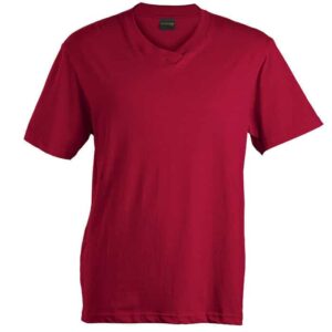 180G Barron V-Neck T-Shirt