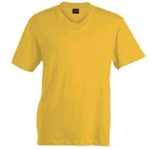180G Barron V-Neck T-Shirt