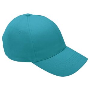 6 Panel Brushed Cotton Cap