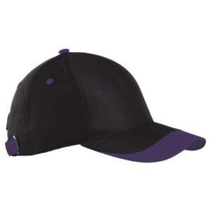 6 Panel Sway Cap