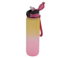900ml Gradient Water Bottle