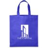 Altitude Budget Non-Woven Shopper