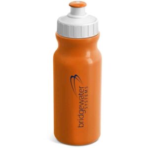 Altitude Carnival Plastic Water Bottle – 300ml