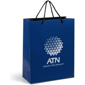 Altitude Dazzle Midi Paper Gift Bag
