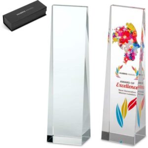 Altitude Hubris Award