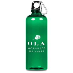 Altitude Vista Recycled PET Water Bottle – 600ml