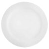 Arctic White Dinner Plate