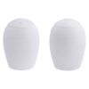 Arctic White Salt and Pepper Set