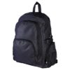 Cruz Laptop Backpack