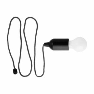 Light Bulb Shaped LED Light