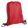 Lightweight Drawstring Bag 210D