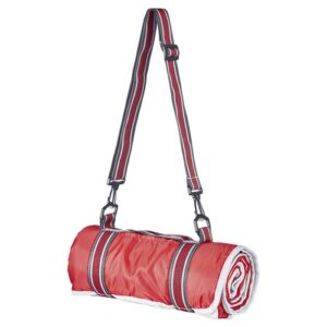 Master Picnic Blanket