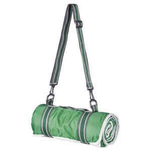 Master Picnic Blanket