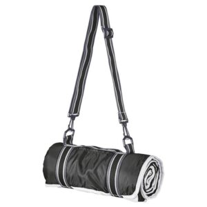 Master Picnic Blanket