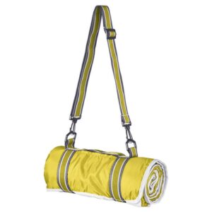 Master Picnic Blanket