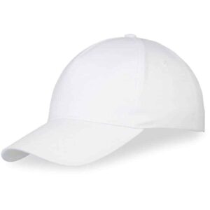 Memphis Cap – – Panel