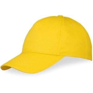 Memphis Cap – – Panel