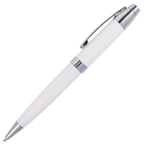 Metal Ballpoint Pen in Matching Tube