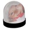 Picture Snow Globe