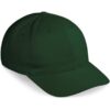 Pro Basic Cap – 6 Panel