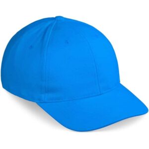 Pro Basic Cap – 6 Panel