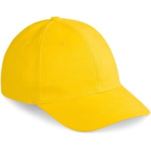 Pro Basic Cap – 6 Panel
