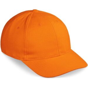 Pro Basic Cap – 6 Panel