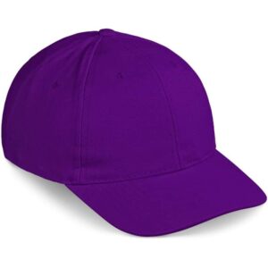 Pro Basic Cap – 6 Panel
