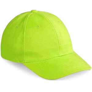 Pro Basic Cap – 6 Panel