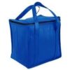 Quantum Non-Woven Cooler (24-Can)