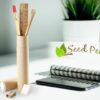 Seed Pencil Eco Set