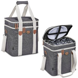 Serendipio Brookfield 4-Person Picnic Cooler