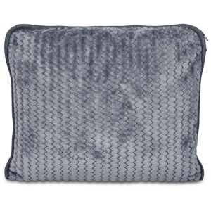 Serendipio Cozytrip Travel Blanket & Pillow