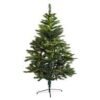 Tall Evergreen Christmas Tree