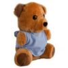 Teddy Plush Toy
