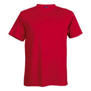 Walker Birdseye T-Shirt