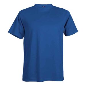Walker Birdseye T-Shirt