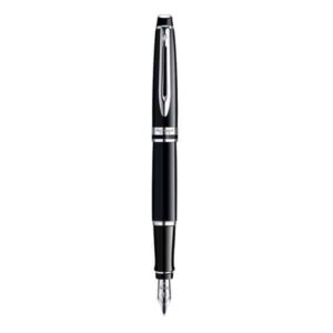 WATERMAN Expert Fountain Pen