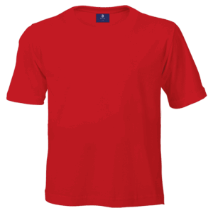 145g Crew Neck T-Shirt Kiddies - Image 5