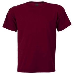 145g Barron Crew Neck T-Shirt - Image 5