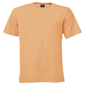 145g Barron Crew Neck T-Shirt - Image 19